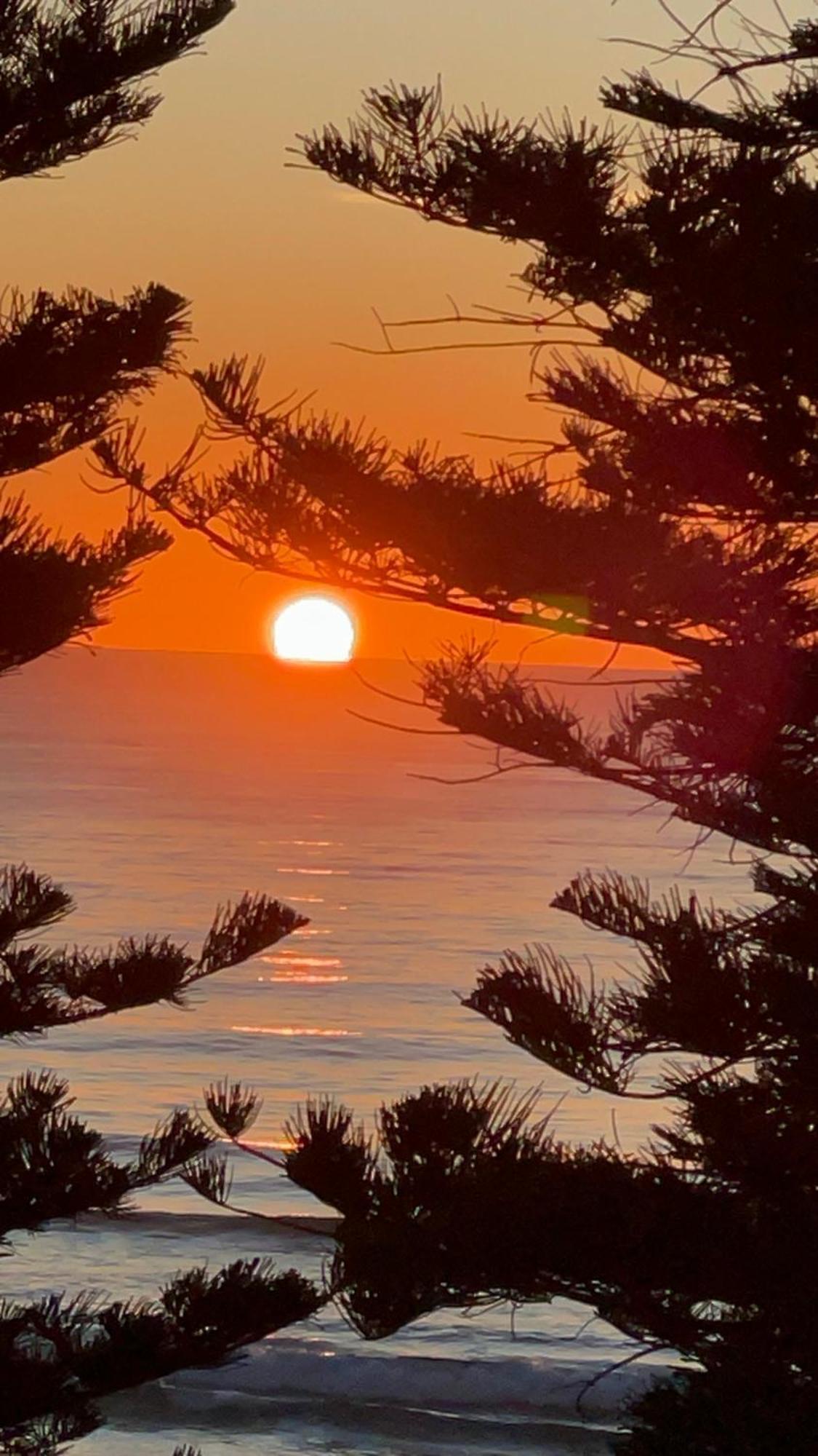 Manly Beachfront Stay Сидней Экстерьер фото
